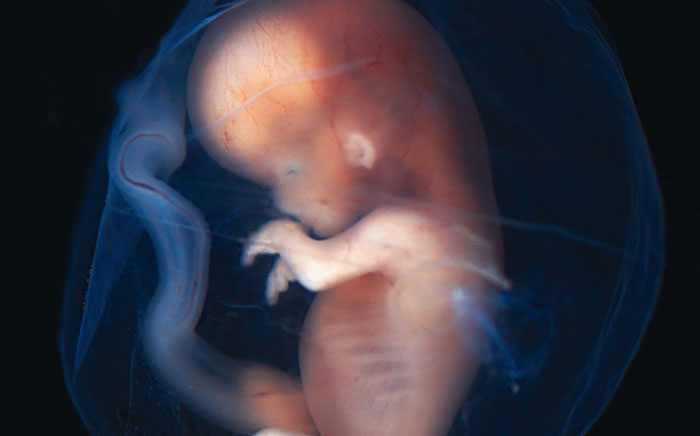 Ein ungeborenes Kind