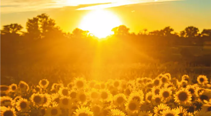 Sonnenaufgang