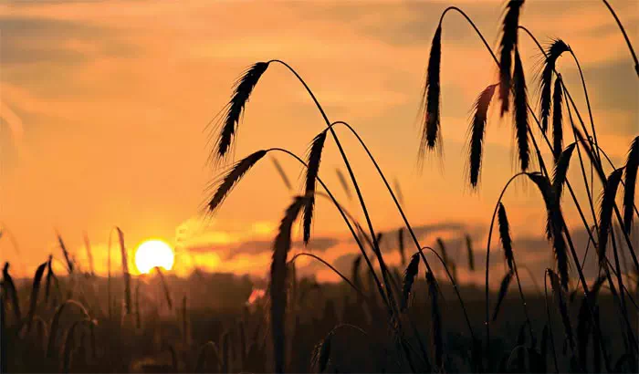 Sonnenaufgang
