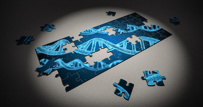 DNA: Der winzige Code, der die Evolution zu Fall bringt