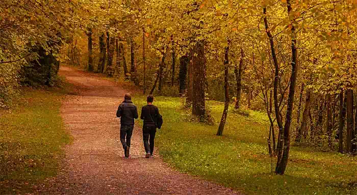 Spaziergang im Wald